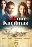 От любви не убежать (2014)
