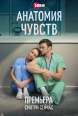 Анатомия чувств (2026)